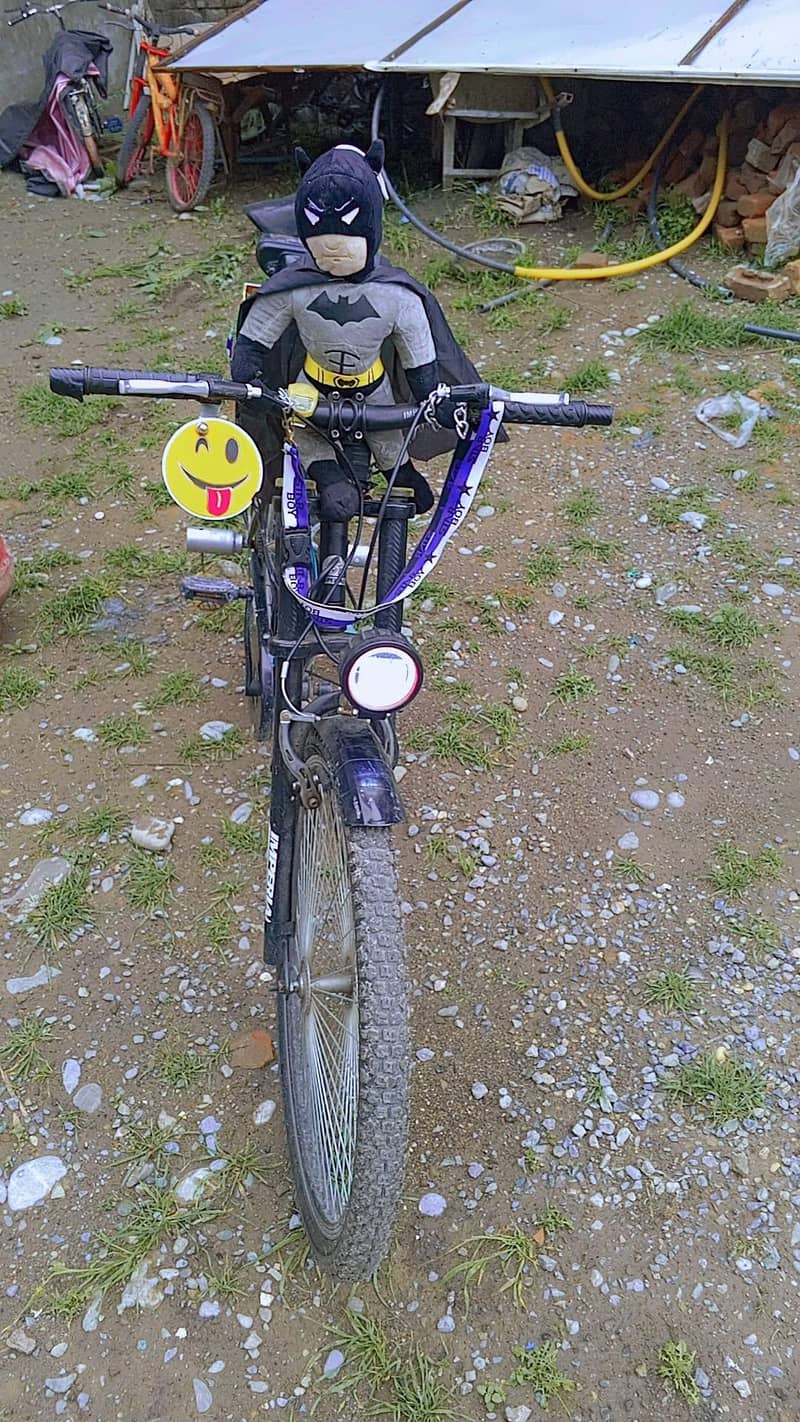 bicycle 2