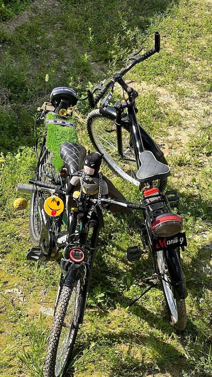 bicycle 6