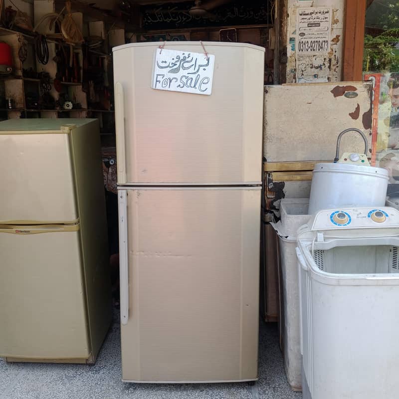 frige 4