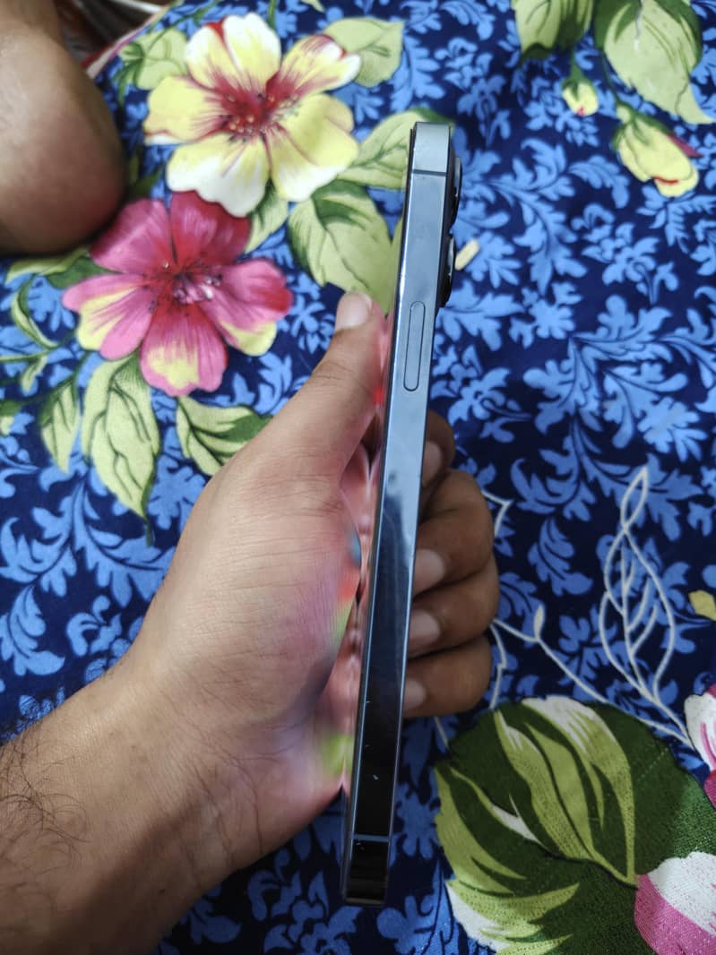 Apple iPhone 13 Pro Max 1