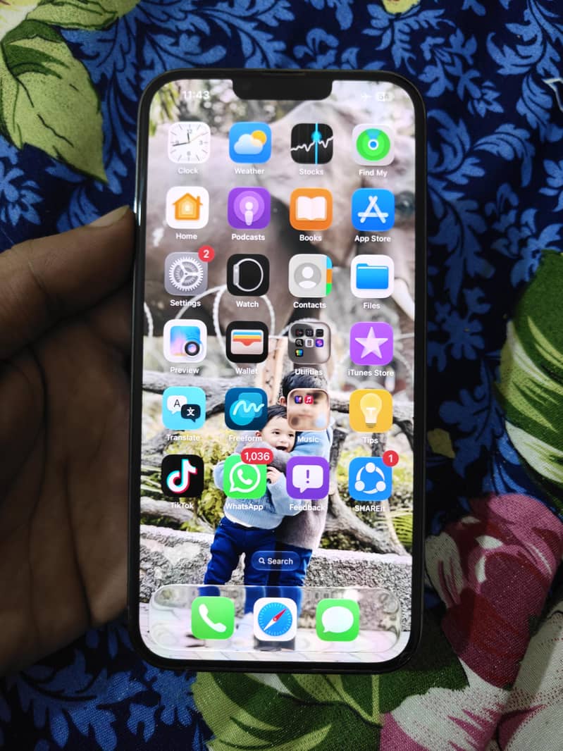Apple iPhone 13 Pro Max 2