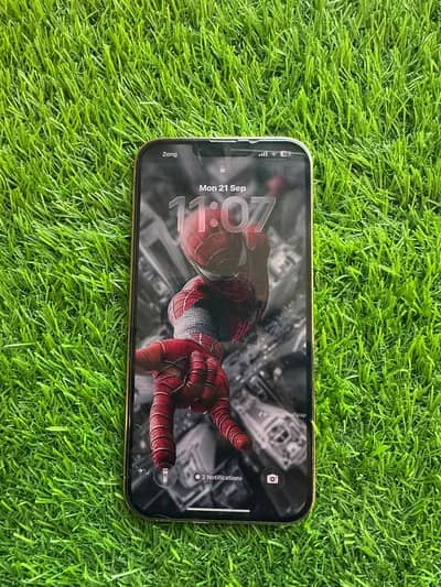 iPhone 13 Pro Max Gold PTA Approved | 81% Battery | Physical SIM+ eSIM