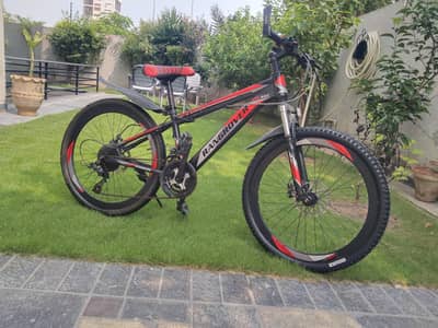 cycle 24  inch new condition