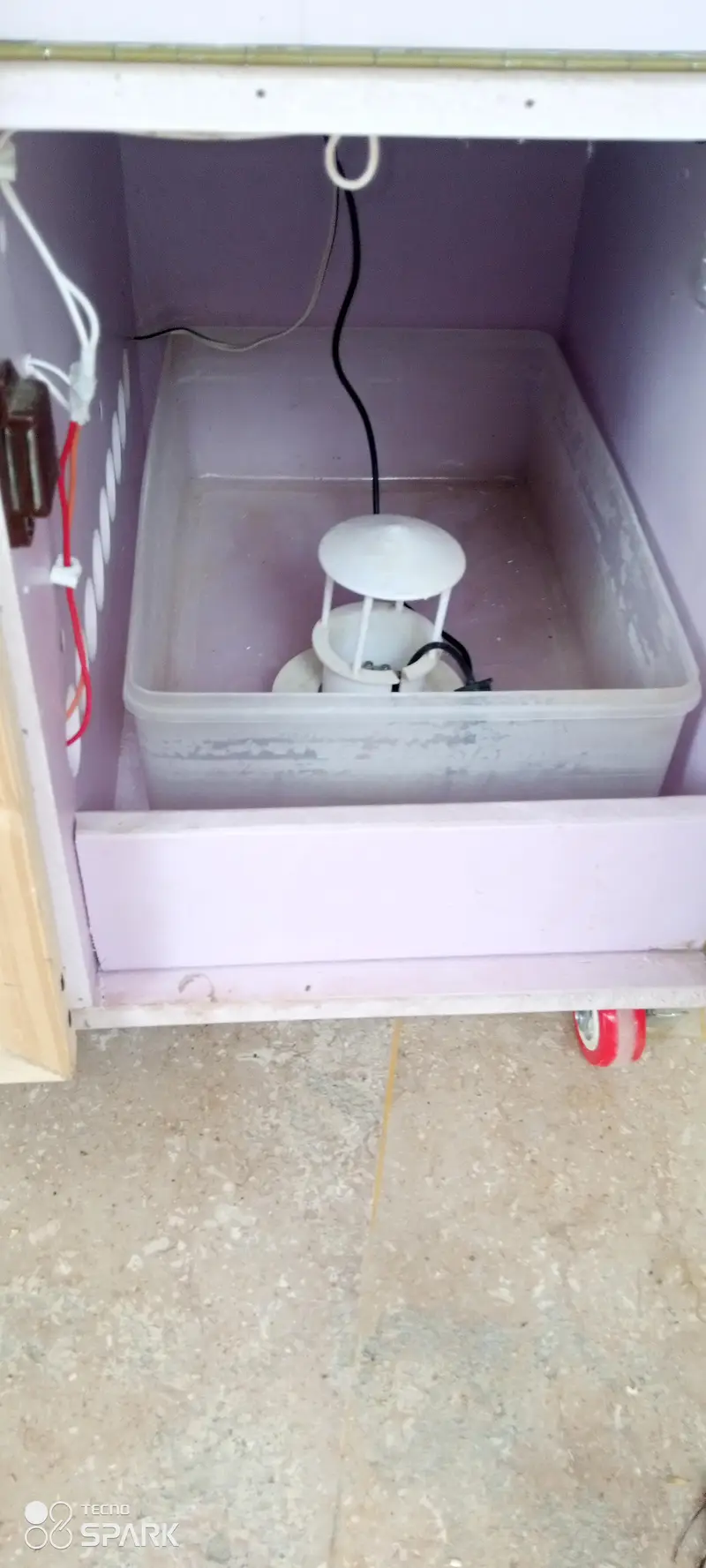 incubator plus brooder — photo 5