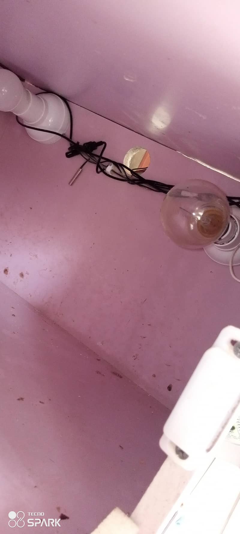 incubator plus brooder 6