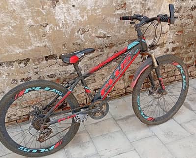 spots bicycle