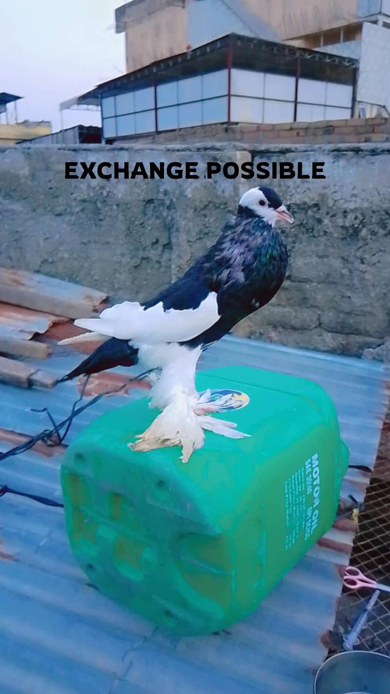 exchange possible 0