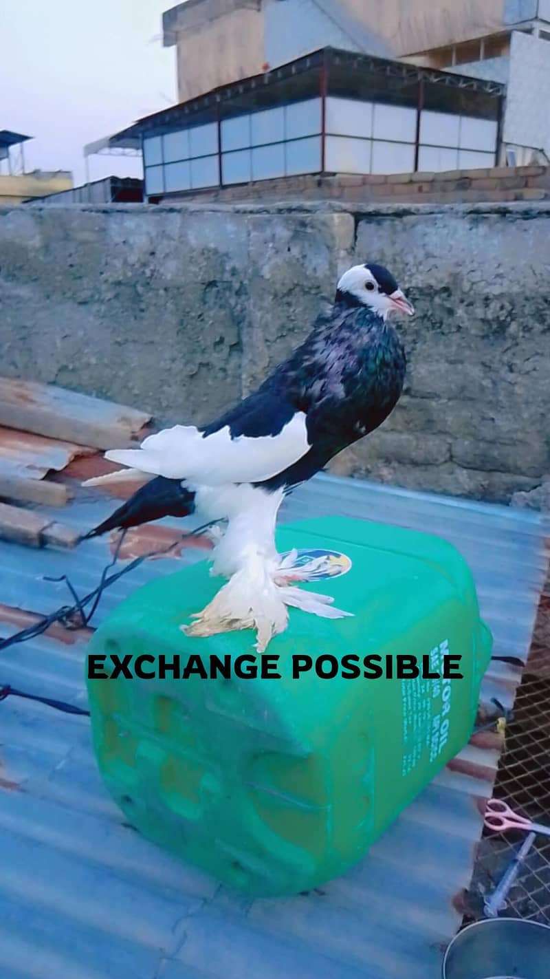 exchange possible 1