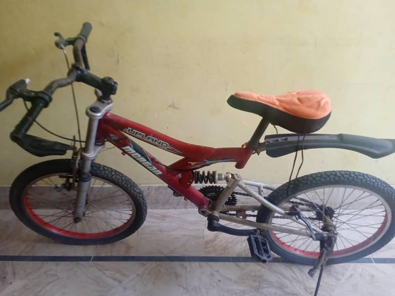 Morgan cycle 0
