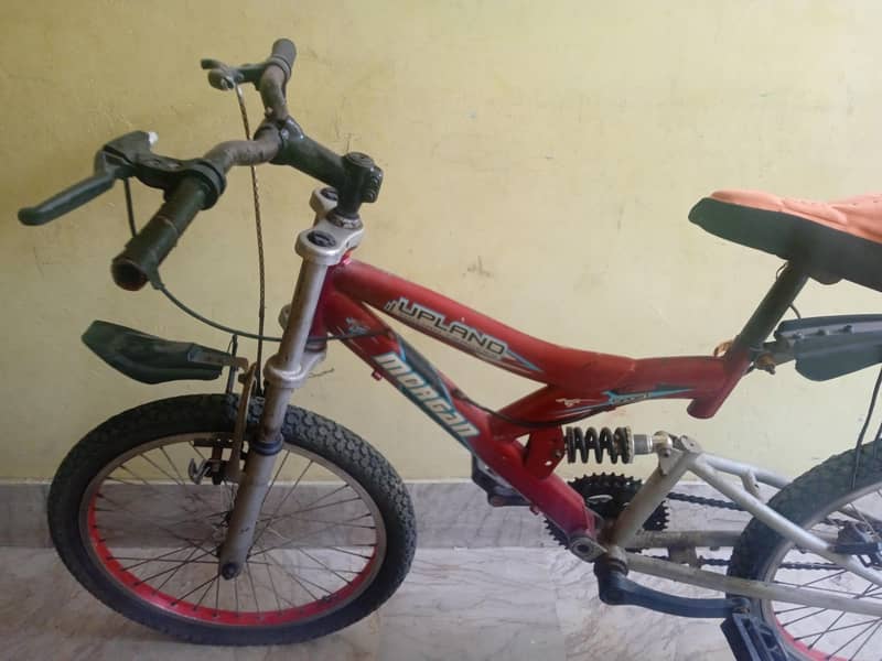 Morgan cycle 1