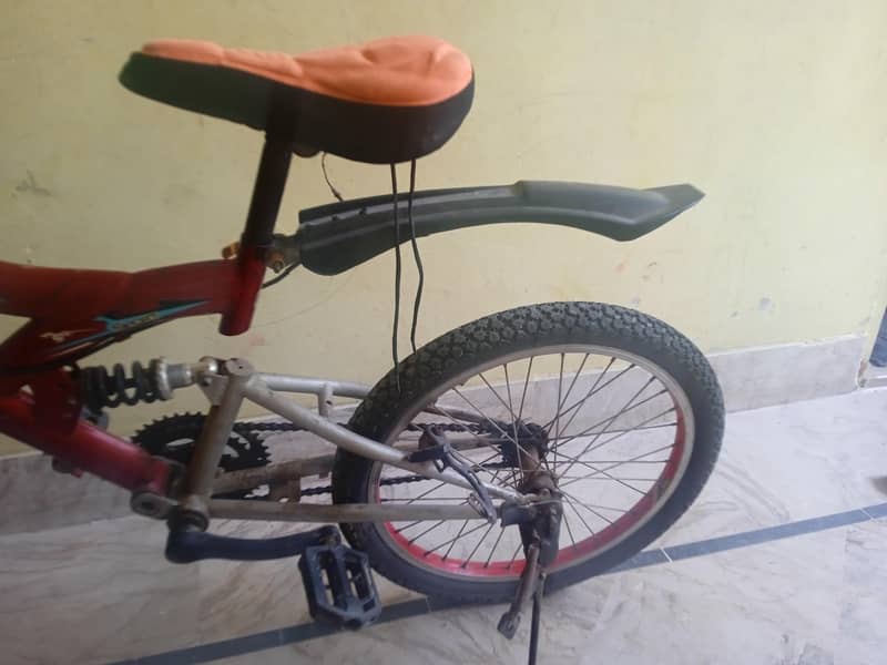 Morgan cycle 2