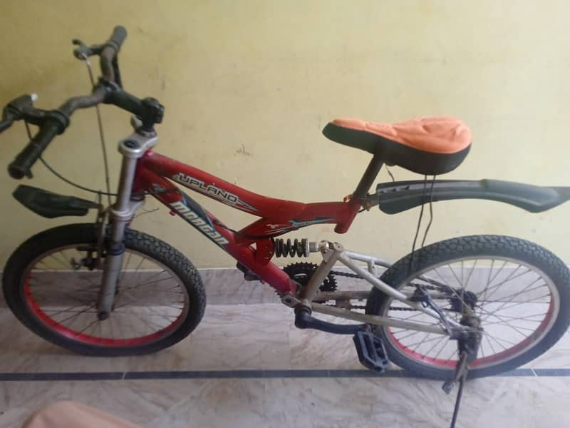Morgan cycle 3