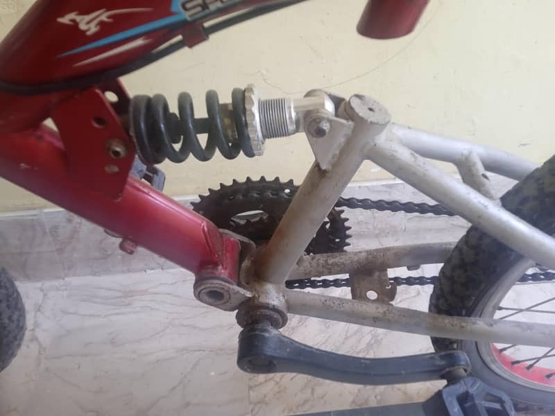 Morgan cycle 5
