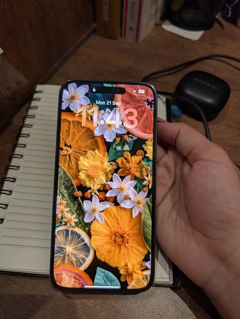Apple iPhone 14 Pro Max 1