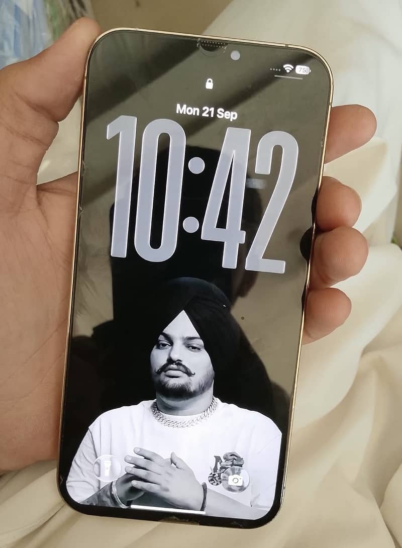 Apple iPhone 12 Pro Max 3