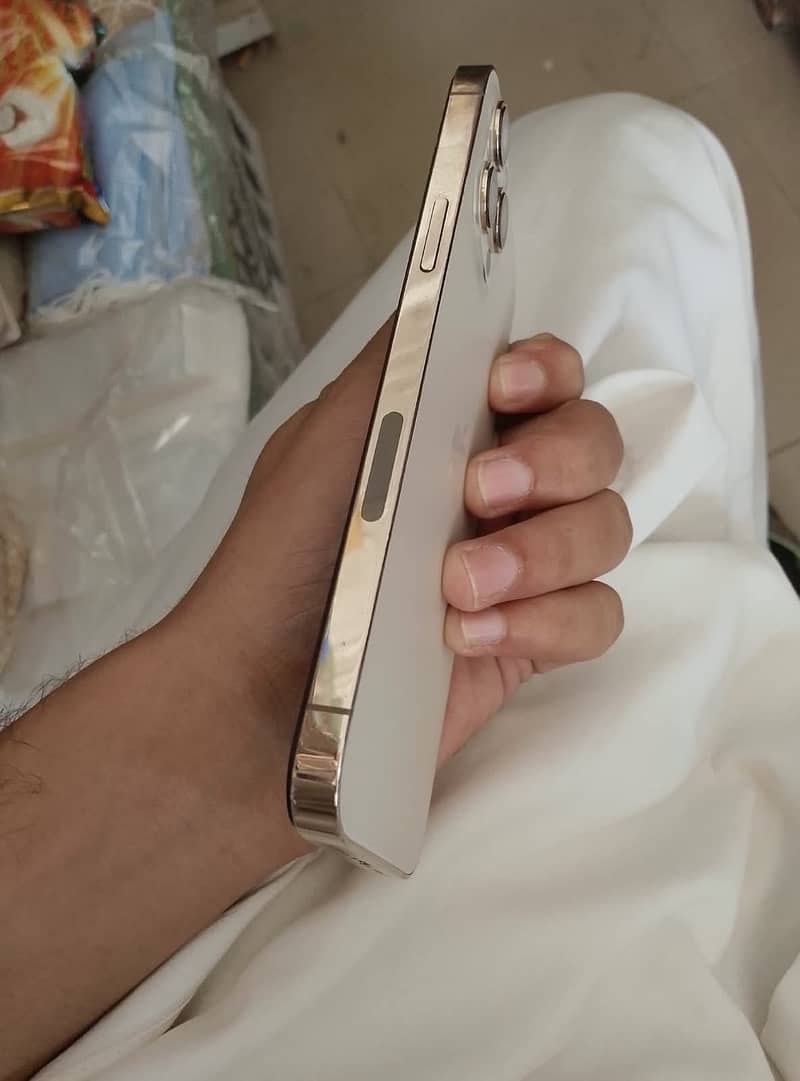 Apple iPhone 12 Pro Max 5