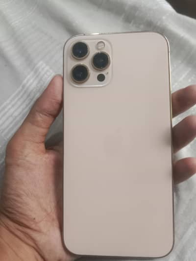 Apple iPhone 12 Pro Max