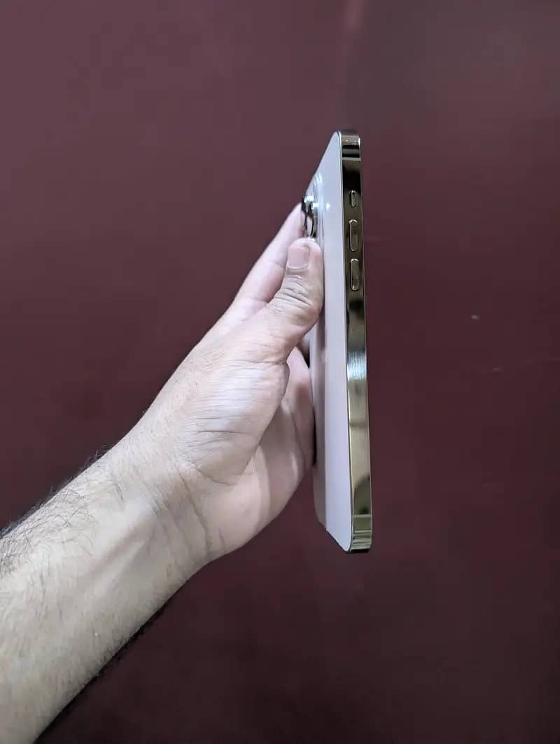 Apple iPhone 14 Pro Max 2