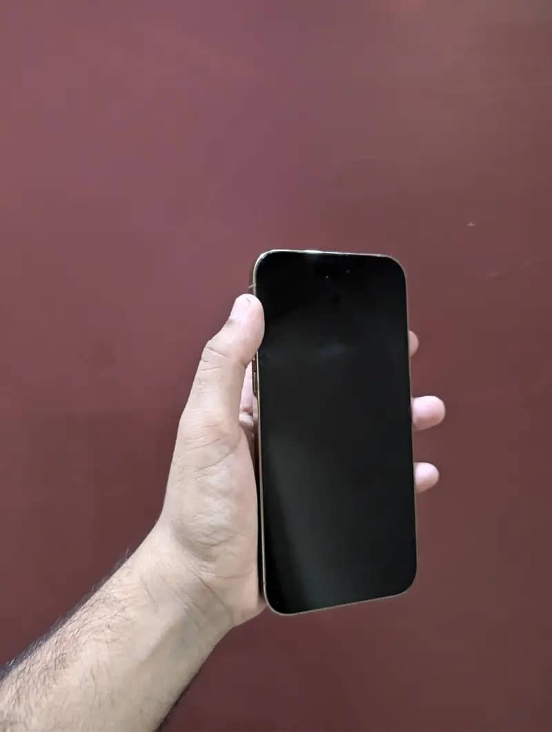 Apple iPhone 14 Pro Max 3