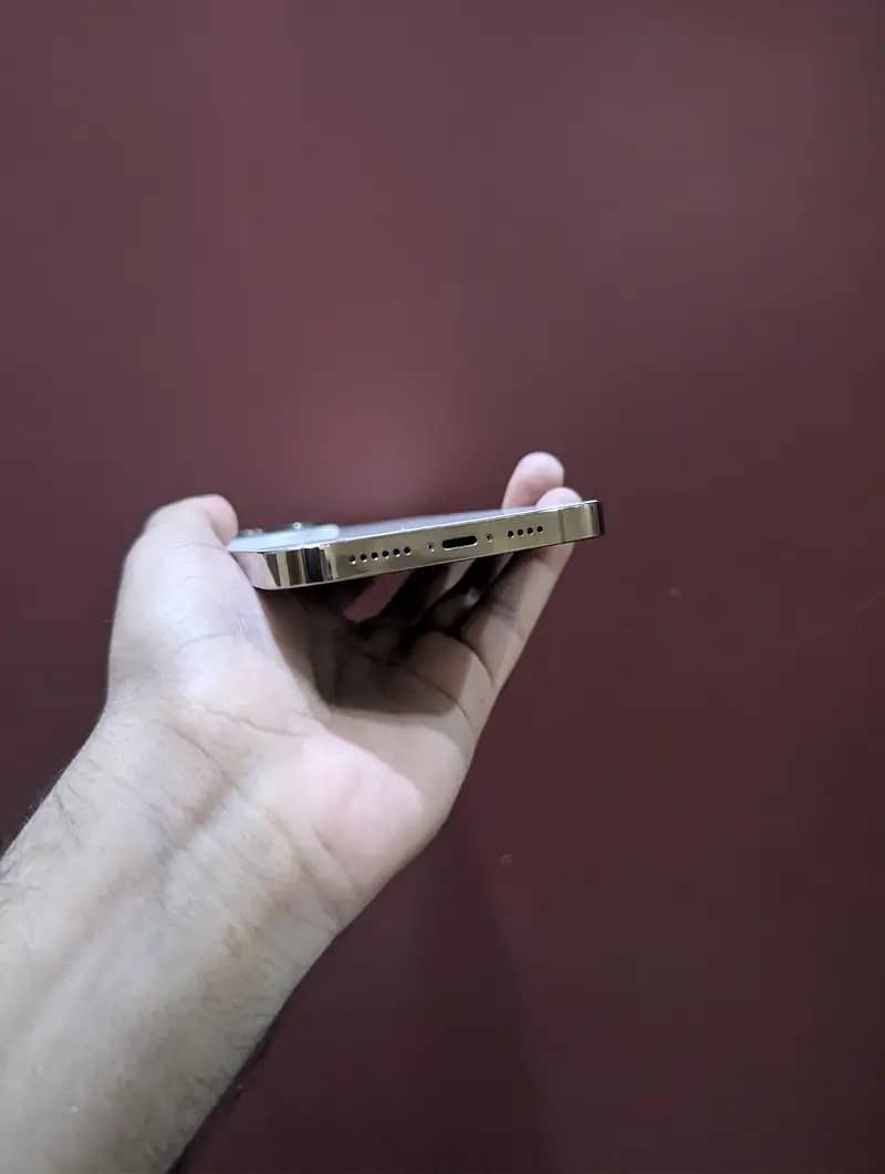 Apple iPhone 14 Pro Max 6
