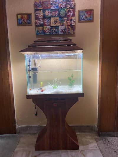 fish  aqurime 15000
