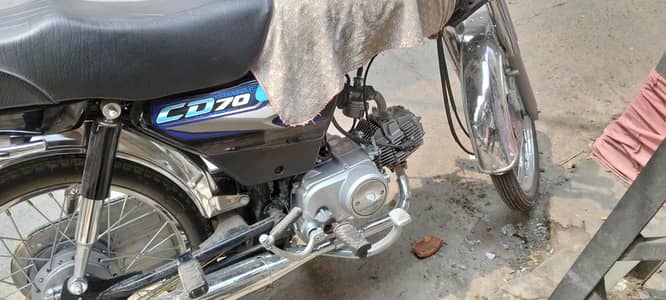 CD 70 new ha
