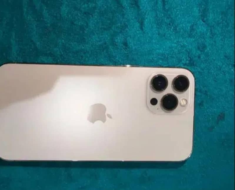 Apple iPhone 12 Pro Max 2
