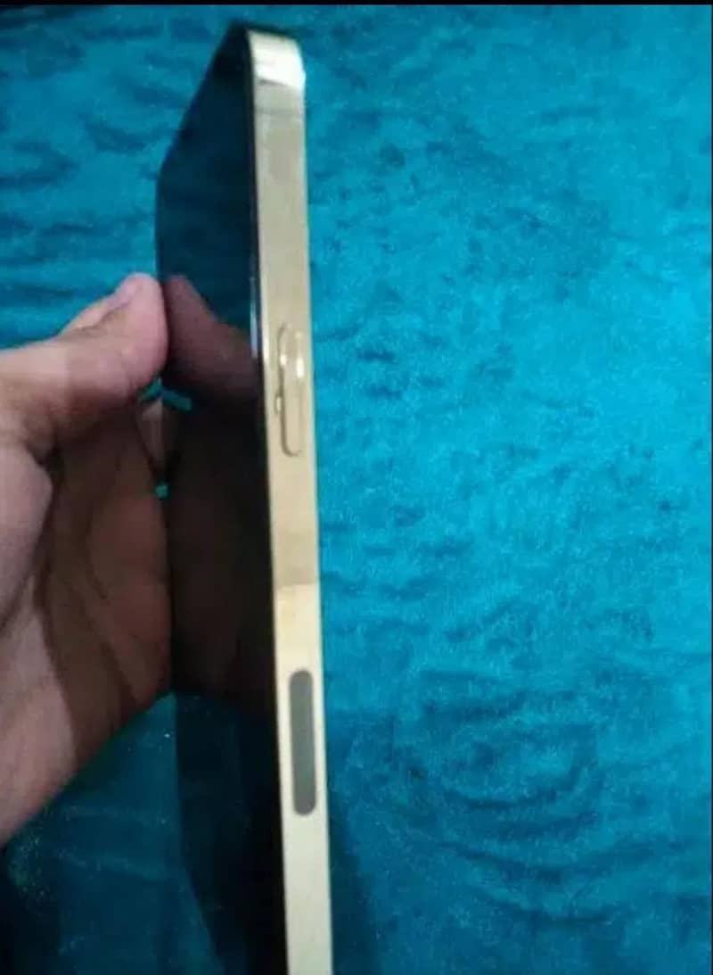 Apple iPhone 12 Pro Max 3
