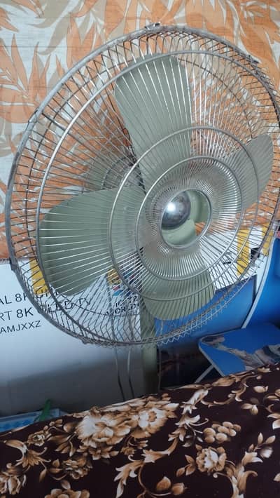 Pak fan