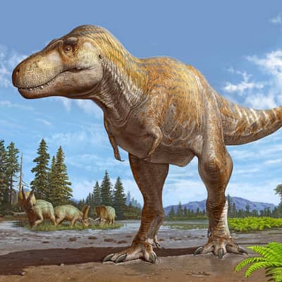 T-Rex limited edition brand new condition urgent sale