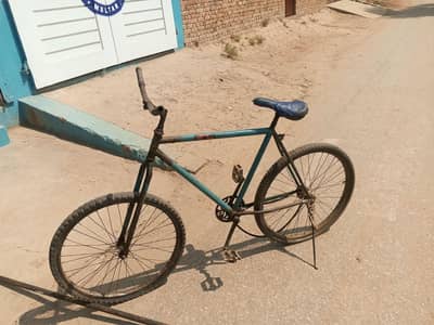 sirf madigard nhi ha baki ok ha jis ko chaya 03016443293
