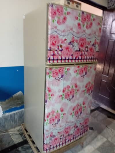 Hair Refrigerator Medium size