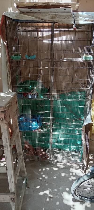 cage for sale 8 portions best for cocktails