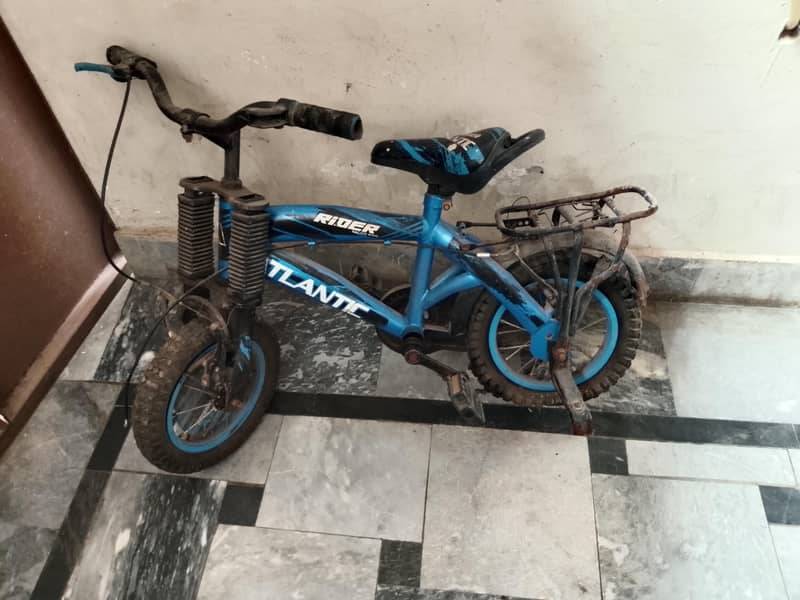 child cycle 0