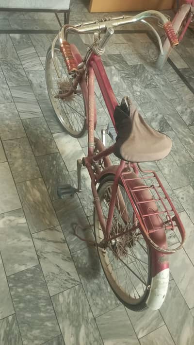 sohrab, children bicycle
