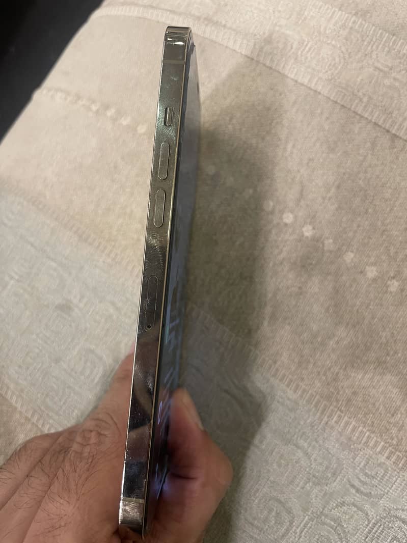 Apple iPhone 12 Pro Max 1