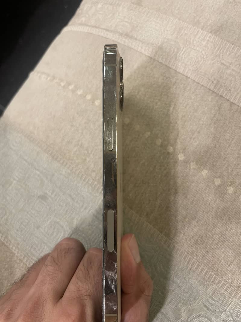 Apple iPhone 12 Pro Max 2
