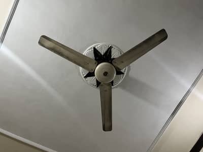 silling fans