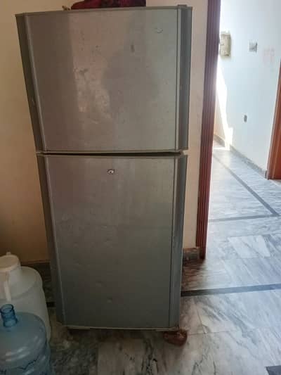 03005883004fridge janwen