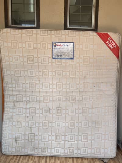 Molty Ortho Firm Mattress
