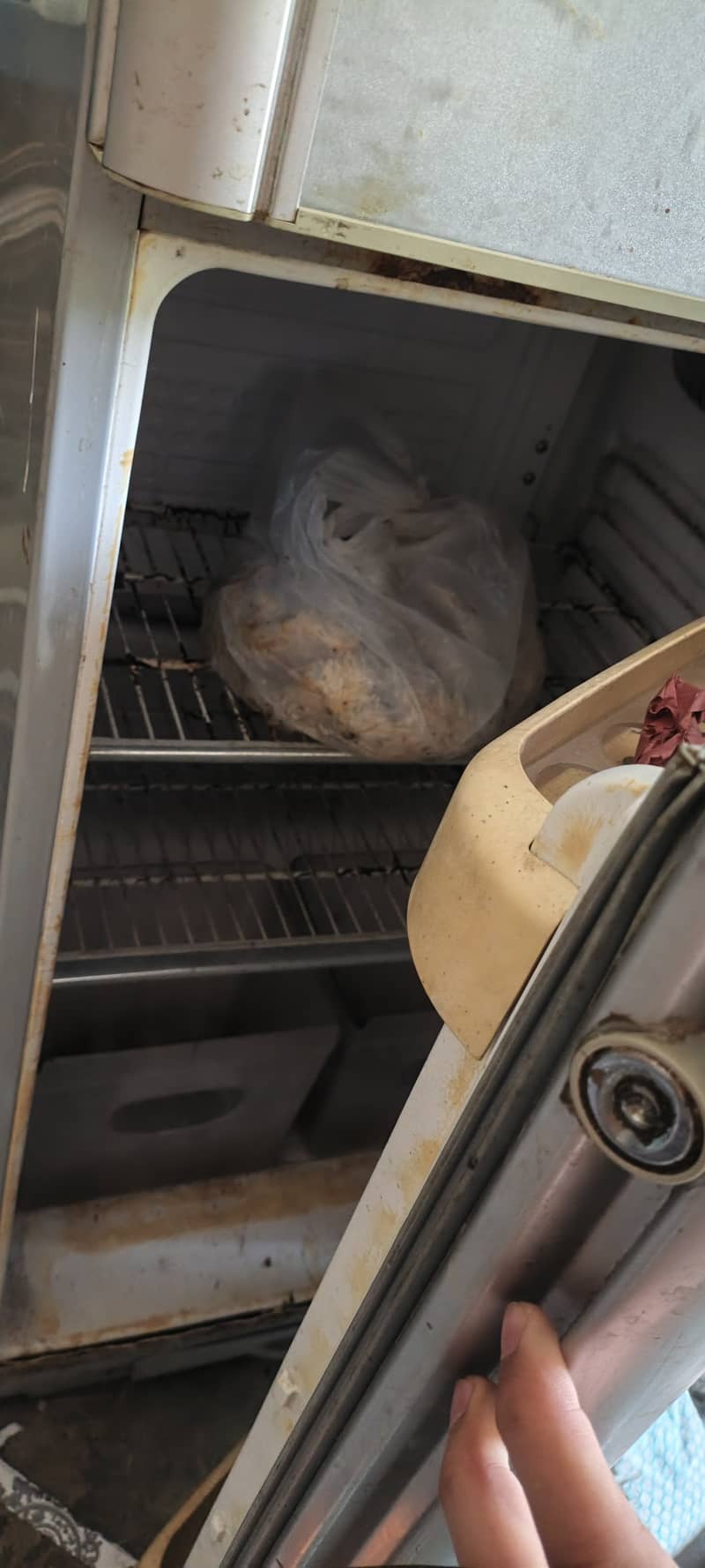 Orient Refrigerator 1