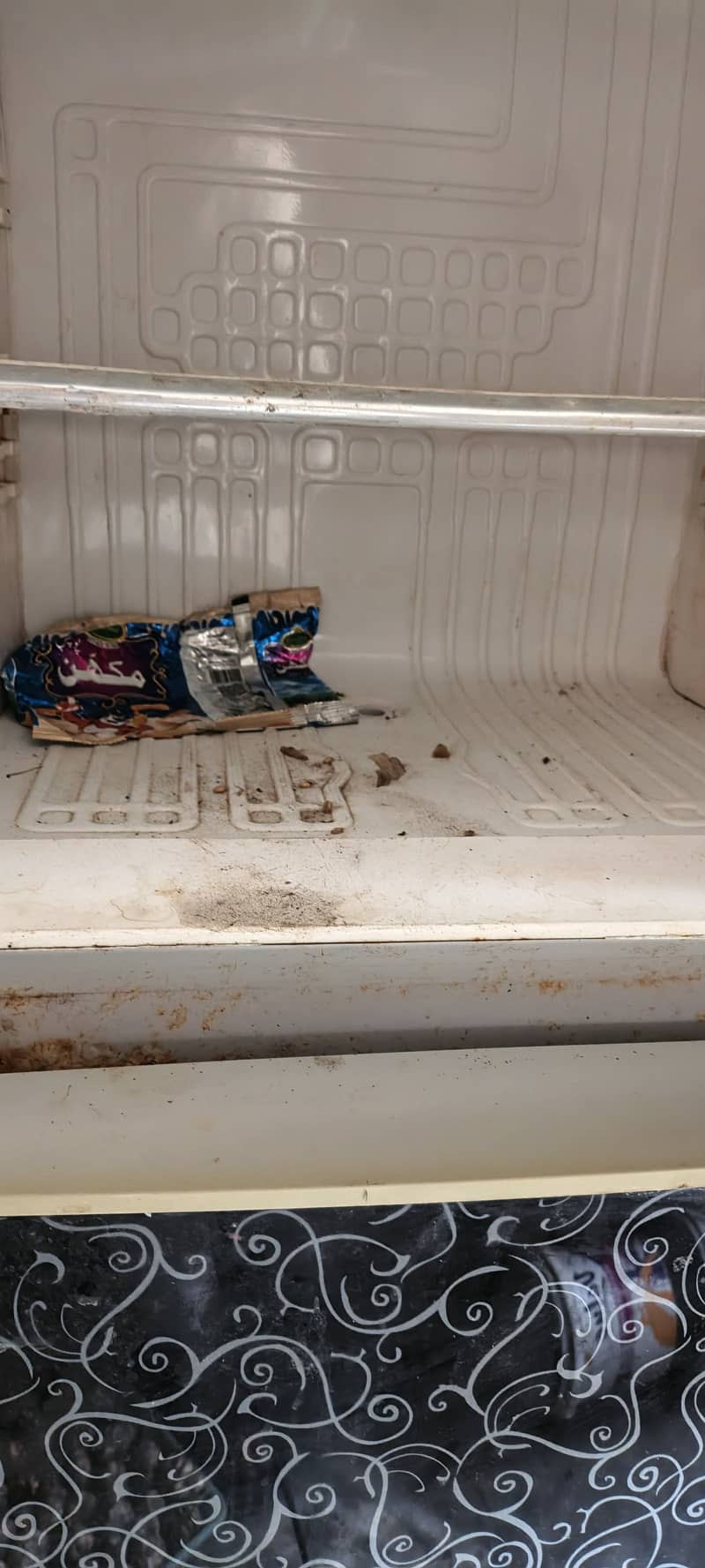 Orient Refrigerator 3