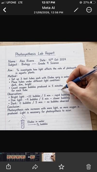 Assignment writing