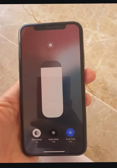 Apple iPhone XS