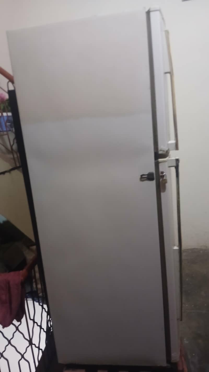 Medium Freezer 1