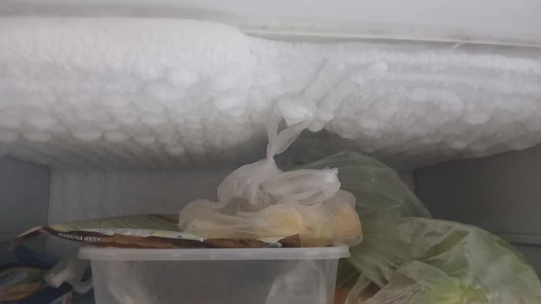 Medium Freezer 4