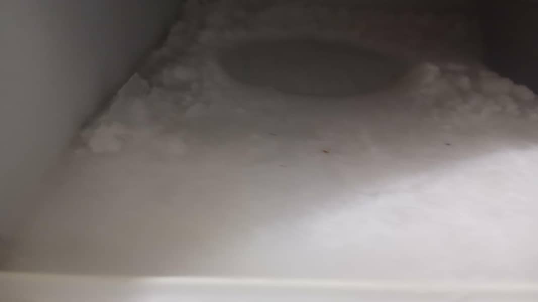 Medium Freezer 8