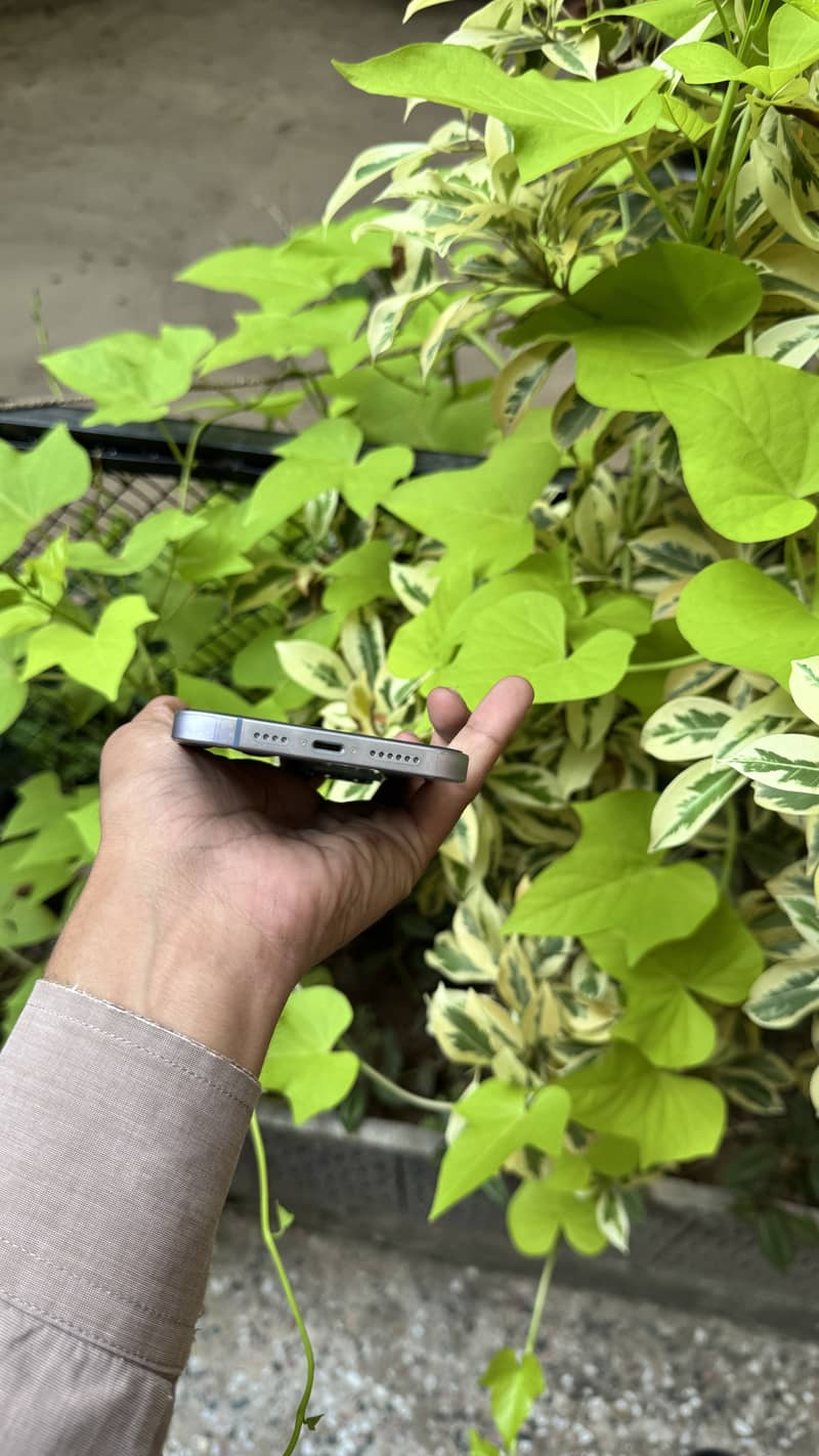 Apple iPhone 14 plus 6