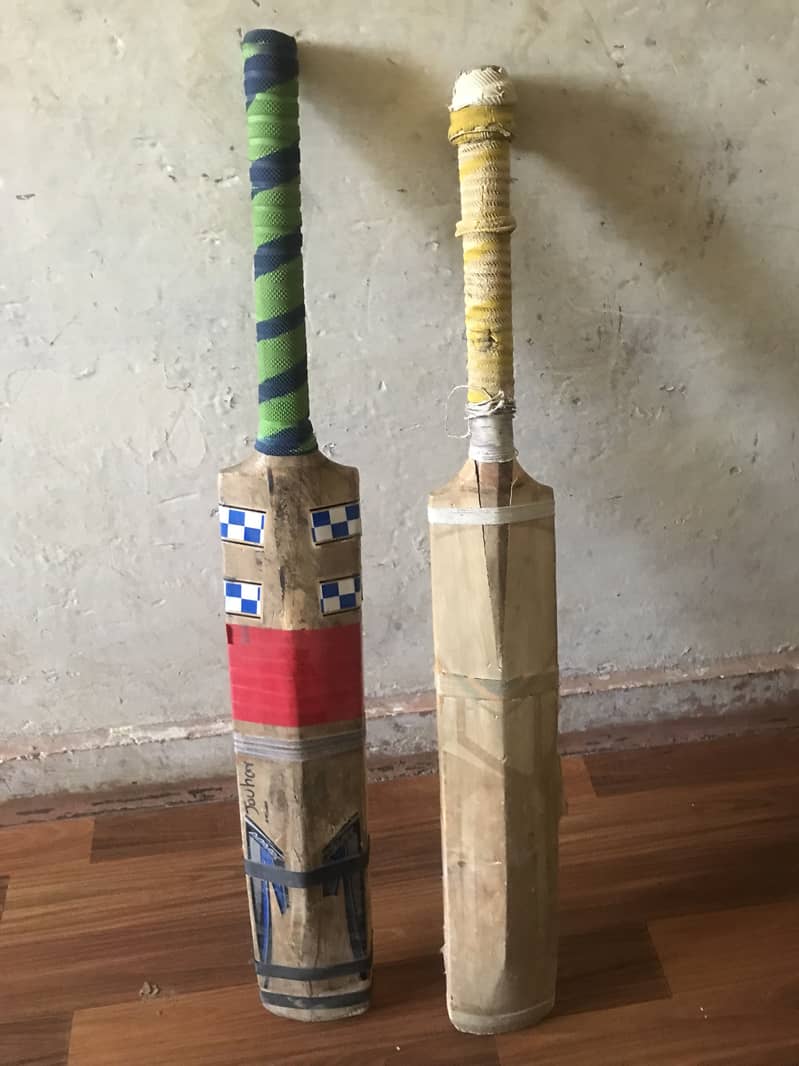 cricket kit 12