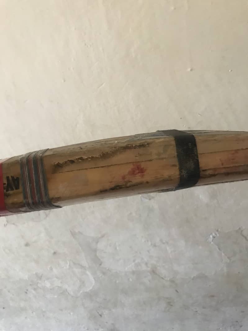 cricket kit 14